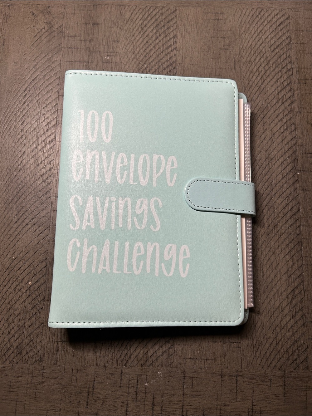 100 Envelope Savings Challenge Organizer - Mint